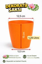 Orkide Saksısı Turuncu Dekoratif Dış Saksı 1 Adet- 12 Pot Şeffaf Orkide Üretim Saksısı Hediyeli - Görsel 3