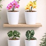 Dekoratif Beyaz Orkide Saksısı - 4 Adet Set Fiyatlı -12 Pot Üretim Saksısına Uygun Kaliteli Ürün