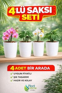 Dekoratif Beyaz Orkide Saksısı - 4 Adet Set Fiyatlı -12 Pot Üretim Saksısına Uygun Kaliteli Ürün - Görsel 2
