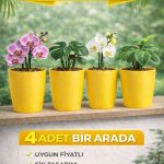 Dekoratif Sarı Orkide Saksısı - 4 Adet Set Fiyatlı -12 Pot Üretim Saksısına Uygun Kaliteli Ürün