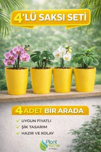 Dekoratif Sarı Orkide Saksısı - 4 Adet Set Fiyatlı -12 Pot Üretim Saksısına Uygun Kaliteli Ürün