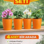Dekoratif Turuncu Orkide Saksısı - 4 Adet Set Fiyatlı -12 Pot Üretim Saksısına Uygun Kaliteli Ürün