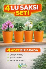 Dekoratif Turuncu Orkide Saksısı - 4 Adet Set Fiyatlı -12 Pot Üretim Saksısına Uygun Kaliteli Ürün