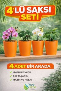 Dekoratif Turuncu Orkide Saksısı - 4 Adet Set Fiyatlı -12 Pot Üretim Saksısına Uygun Kaliteli Ürün