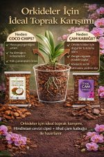 Orkide Toprağı - Orkide Kurtaran Orkide Besini Avantaj Seti (1 Litre İthal Çam 1 Litre Coco Cips) - Görsel 3