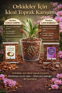 Orkide Toprağı - Orkide Kurtaran Orkide Besini Avantaj Seti (1 Litre İthal Çam 1 Litre Coco Cips) - Görsel 3