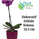 Dekoratif Vişne Orkide Saksısı - A Adet Set Fiyatlı -12 Pot Üretim Saksısına Uygun Kaliteli Ürün