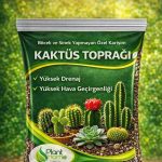 10 Litre Premium Kaktüs Toprağı - Böcek Sinek Yapmayan Preimum Toprak