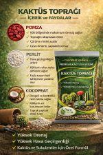 10 Litre Premium Kaktüs Toprağı - Böcek Sinek Yapmayan Preimum Toprak - Görsel 2