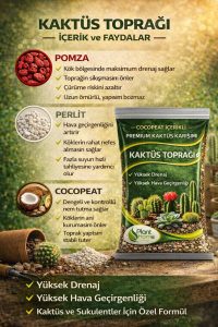 10 Litre Premium Kaktüs Toprağı - Böcek Sinek Yapmayan Preimum Toprak - Görsel 2