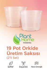 19 Pot Orkide Üretim Saksısı - Köklü Tropikal Bitkiler İçin Özel Üretim Saksısı