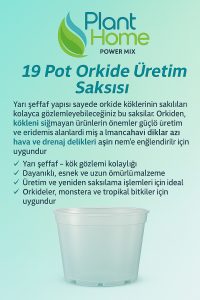 19 Pot Orkide Üretim Saksısı - Köklü Tropikal Bitkiler İçin Özel Üretim Saksısı - Görsel 2