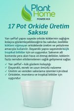17 Pot Orkide Üretim Saksısı - Tropikal Bitki ve Köklü Bitkiler İçin Özel Üretim Saksısı 2 Adet - Görsel 2