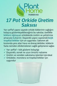17 Pot Orkide Üretim Saksısı - Tropikal Bitki ve Köklü Bitkiler İçin Özel Üretim Saksısı 2 Adet - Görsel 2