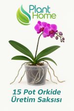 15 Pot Orkide Üretim Saksısı - 2 Adet - Görsel 4