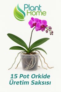 15 Pot Orkide Üretim Saksısı - 2 Adet - Görsel 4