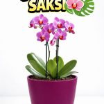 Dekoratif Orkide Saksısı - 12 Lik Üretim Saksısına Uygun Kaliteli Ürün