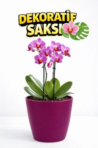 Dekoratif Orkide Saksısı - 12 Lik Üretim Saksısına Uygun Kaliteli Ürün
