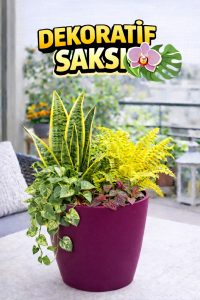 Dekoratif Orkide Saksısı - 12 Lik Üretim Saksısına Uygun Kaliteli Ürün - Görsel 2