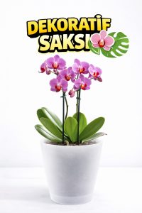 Yarı Şeffaf Dekoratif Orkide Saksısı - 12 Lik Üretim Saksısına Uygun Kaliteli Ürün