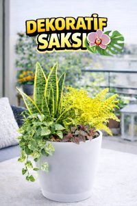 Yarı Şeffaf Dekoratif Orkide Saksısı - 12 Lik Üretim Saksısına Uygun Kaliteli Ürün - Görsel 2