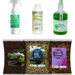 Premium Orkide Bakım Seti - Premium Orkide Toprağı ve Bakım Seti