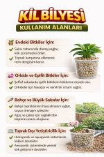 Orkide Kil Bilyesi - Orkide Toprağı İçin Kullanılan Kil Bilyesi- 1 Litre - - Görsel 3