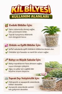 Orkide Kil Bilyesi - Orkide Toprağı İçin Kullanılan Kil Bilyesi- 1 Litre - - Görsel 3