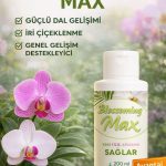 Orkideler Ve Salon Bitkileri İçin Dal Ve Çiçek Destekleyici Premium Besin 200ml