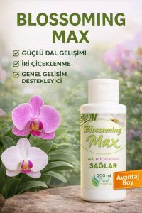 Orkideler Ve Salon Bitkileri İçin Dal Ve Çiçek Destekleyici Premium Besin 200ml