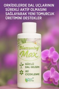 Orkideler Ve Salon Bitkileri İçin Dal Ve Çiçek Destekleyici Premium Besin 200ml - Görsel 4