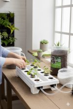 10 Litre Çiçek Toprağı Ithal Ts1 Torf Sinek Böcek Yapmayan Bitki Toprağı - Görsel 6
