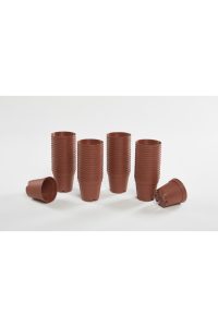 5.5cm Sukkulent Ve Kaktüs Yetiştirme Saksısı 1875 Adet Tys 5.5 - Görsel 4